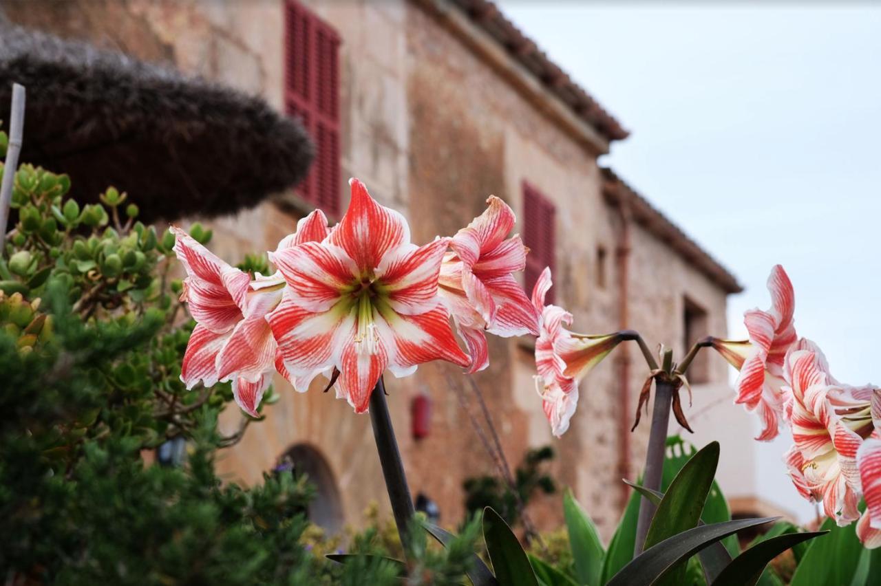 Finca Hotel Ses Cases Noves Sant Llorenc Des Cardassar Esterno foto