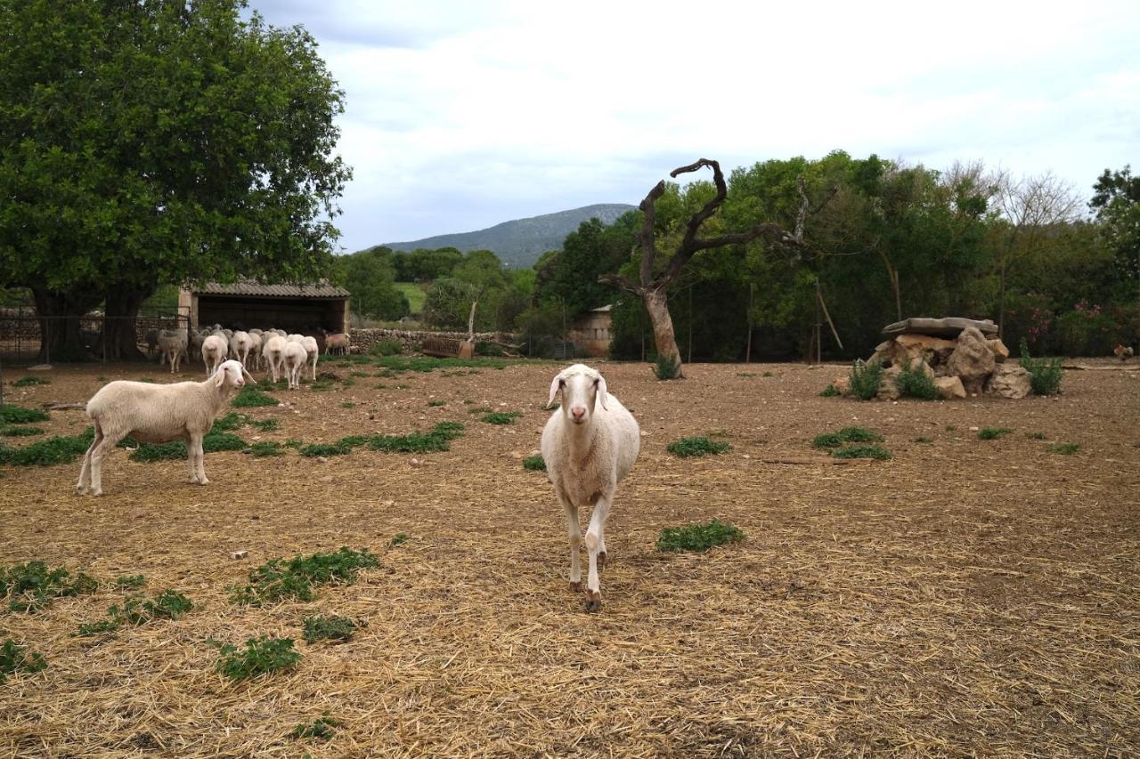 Finca Hotel Ses Cases Noves Sant Llorenc Des Cardassar Esterno foto
