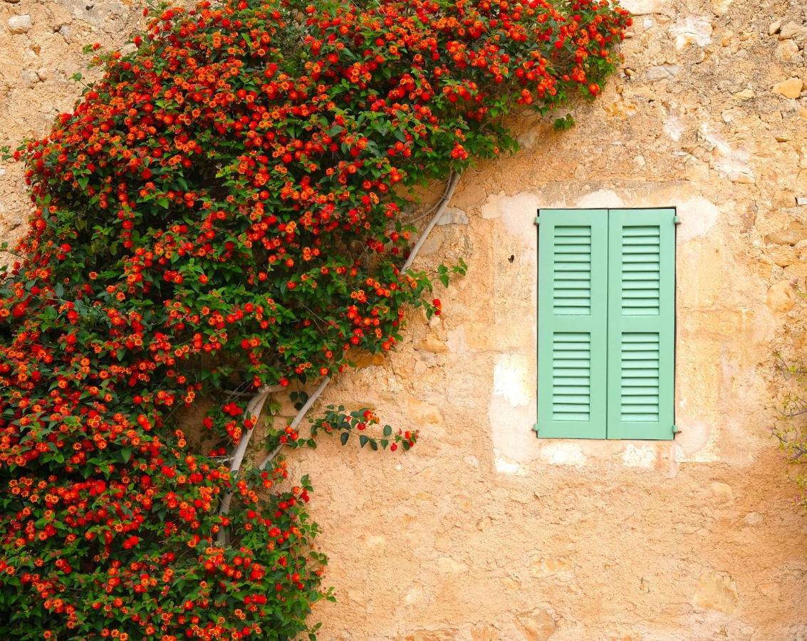 Finca Hotel Ses Cases Noves Sant Llorenc Des Cardassar Esterno foto