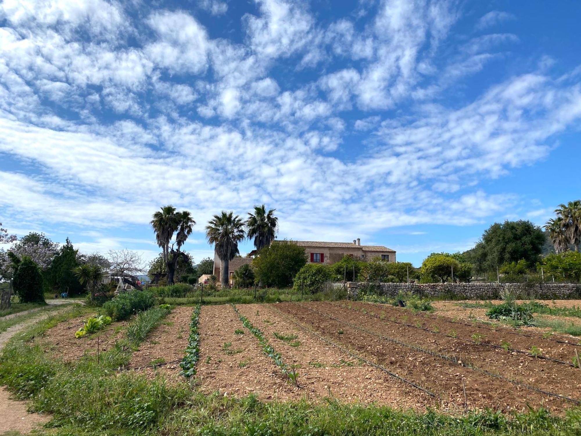 Finca Hotel Ses Cases Noves Sant Llorenc Des Cardassar Esterno foto
