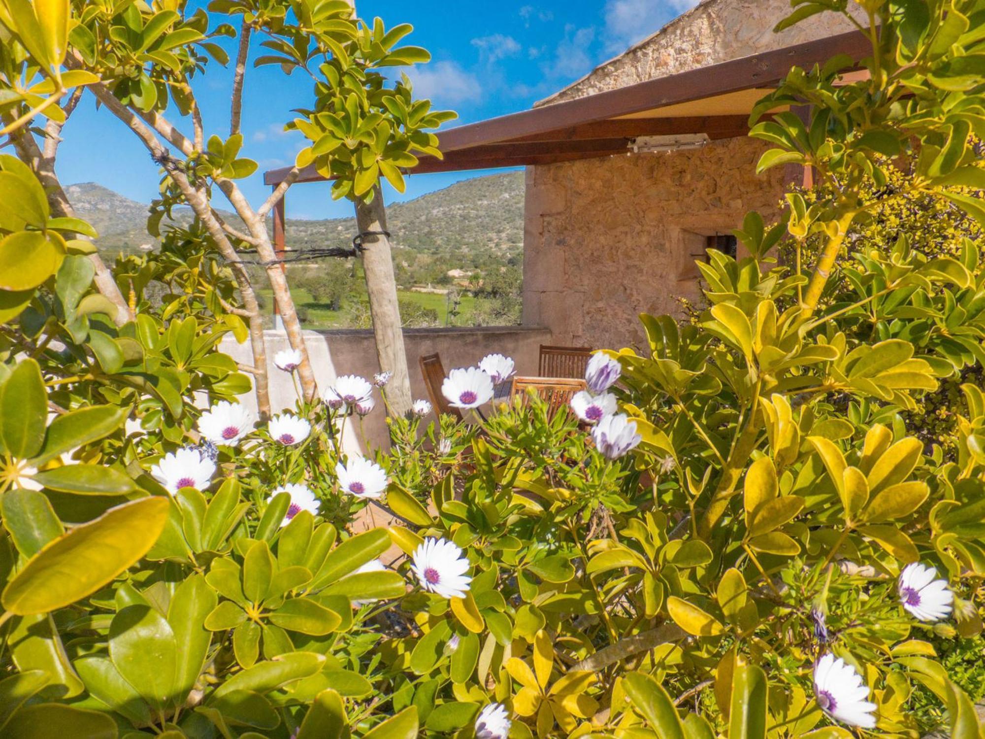 Finca Hotel Ses Cases Noves Sant Llorenc Des Cardassar Camera foto